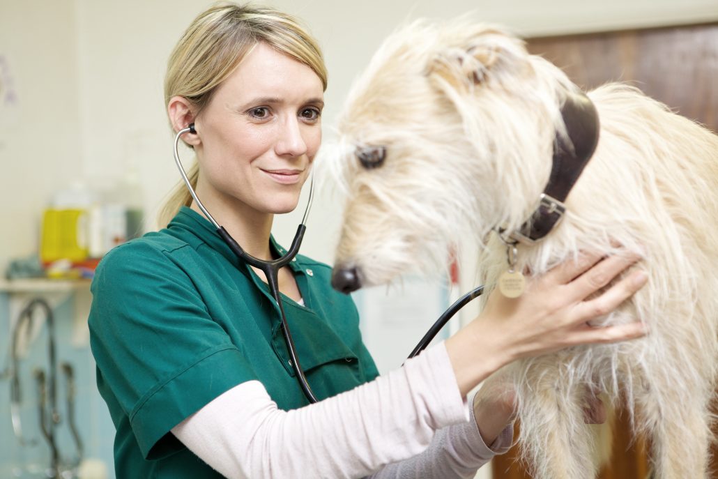 Lipid emulsion in the management of poisoning inFOCUS