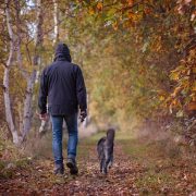 man and dog walking