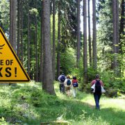 Beware of ticks in infested area with walkers