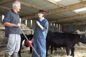 vet talking to farmer in barn