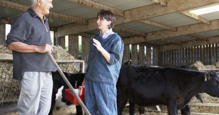 vet talking to farmer in barn