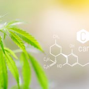 cannabidiol leaves and chemical formula