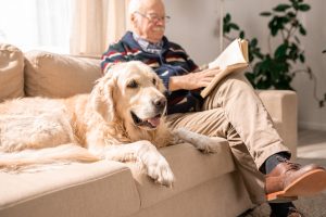 Owner sitting next to dog