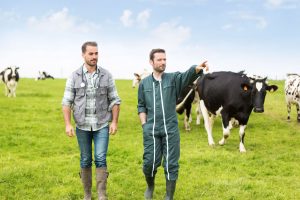 vet and farmer walking in a field