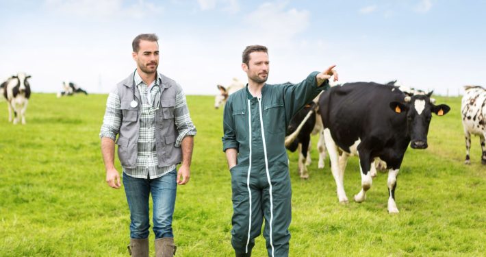 vet and farmer walking in a field