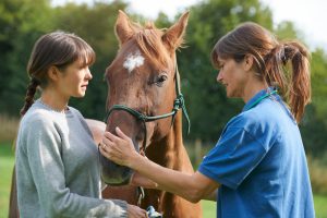 Vet examine horse in field with owner present