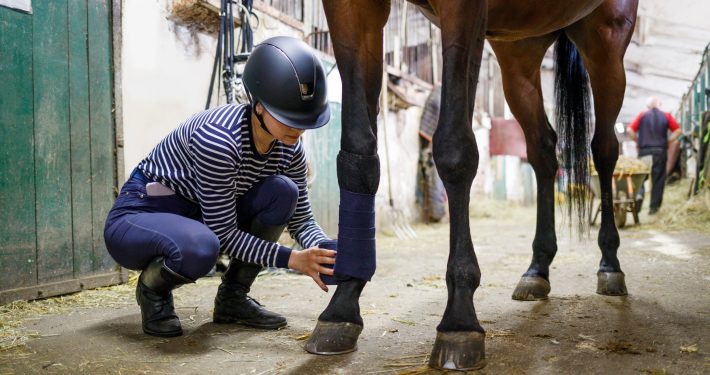 Girl wearing a hard hat bandaging a horse's leg