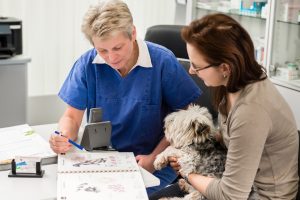 Pet owner receiving guidance from the female veterinarian Vet talking to dog owner