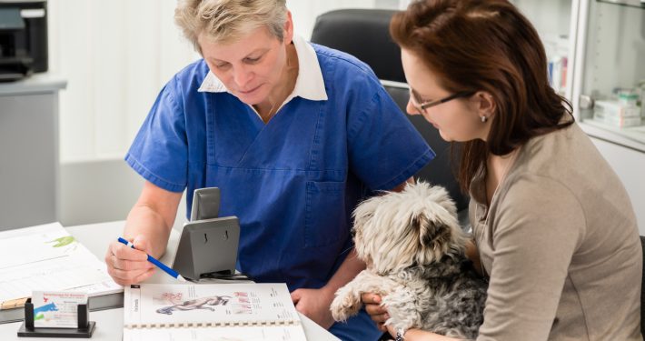 Vet talking to dog owner