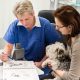 Vet talking to dog owner