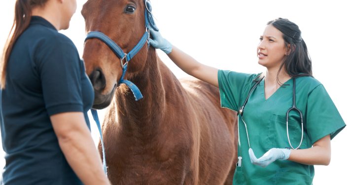 Vet talking to horse owner